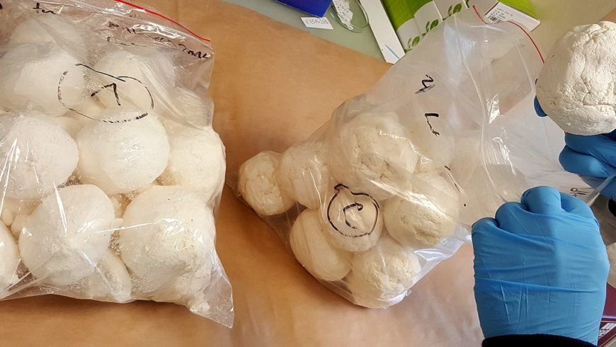 Ponad 8 kilogramów amfetaminy nie trafi na rynek