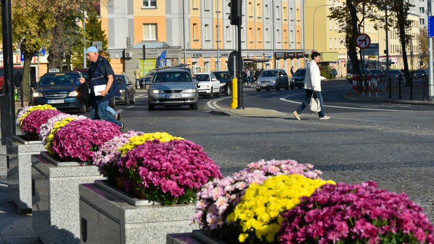 Białystok w jesiennych kwiatach