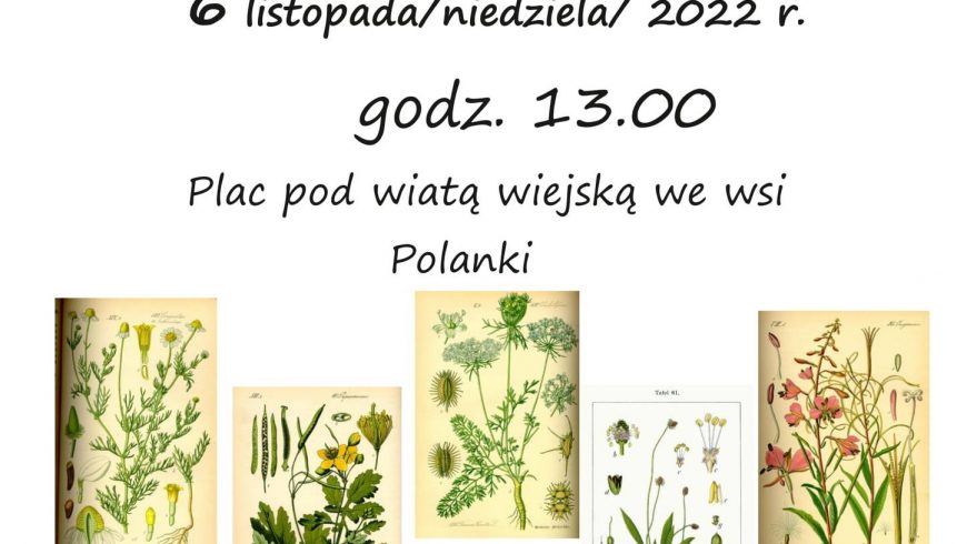 Podsumowanie projektu „Natura naszym sprzymierzeńcem prowadzonego przez Stowarzyszenie Polanie w Polankach