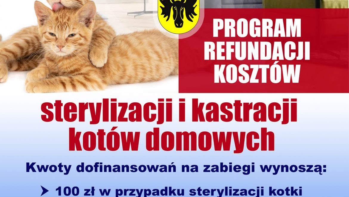 Ruszył program refundacji kosztów sterylizacji i kastracji kotów domowych w gminie Wasilków na rok 2023