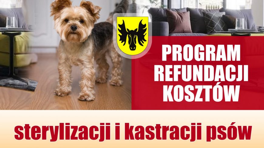 Program refundacji kosztów sterylizacji i kastracji psów należących do osób zameldowanych w gminie Wasilków