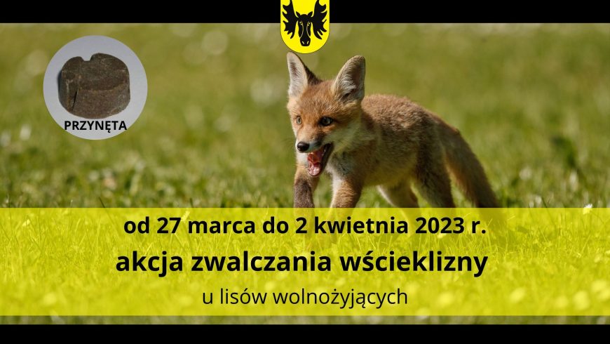 Wiosenna akcja zwalczania wścieklizny wśród lisów wolnożyjących. Od 27 marca do 2 kwietnia 2023 r.