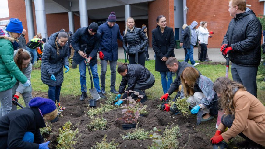 Finał akcji „Niech się zieleni” na kampusie Politechniki Białostockiej! Pracownicy oraz studenci zasadzili niemal 1200 roślin!