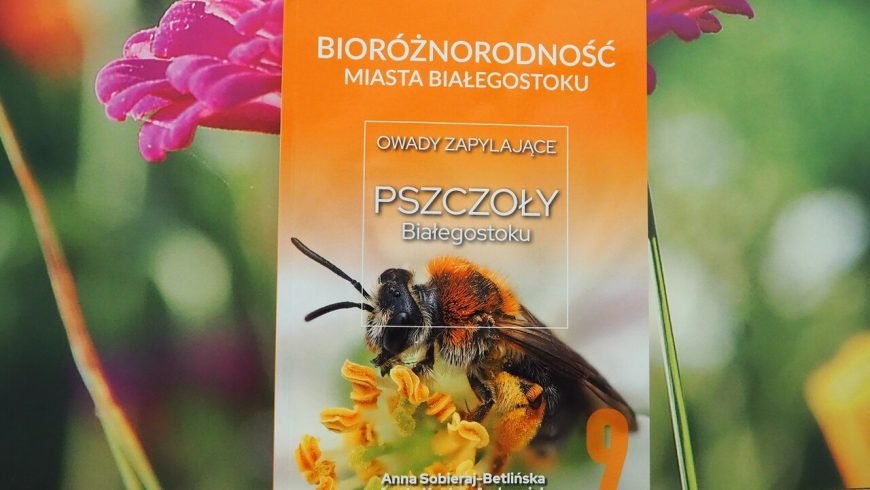 Bioróżnorodność Białegostoku – kolejna publikacja